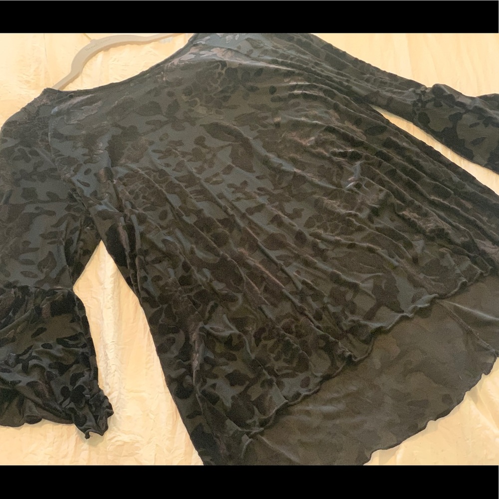 Black Sheer + Velvet Top